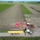 25 september 2025; suikerbieten rooien