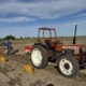 25 september 2025; aardappelproefveld rooien Sloots Agri