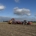 12 oktober 2025; afronding aardappeloogst