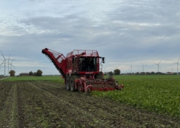 31 oktober 2025; suikerbieten rooien