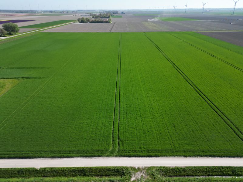 22 april 2026; gewasgroei wintergerst; ras is Joyau