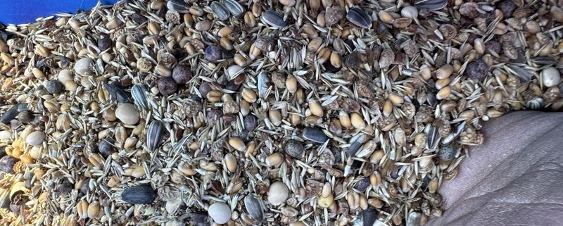 22 april 2026; kruidenrijke akkerrand zaaien en beregenen