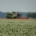27 juni 2026; oogst wintergerst