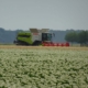 27 juni 2026; oogst wintergerst