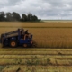 8 juli 2026; Vlas plukken