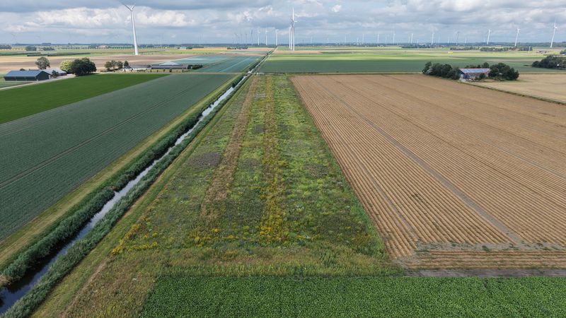 27 juli 2026; gewasgroei ANLb