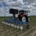 3 juli 2026; Demo Andela Electroweeder