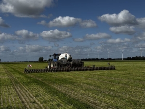 3 juli 2026; spaakwiel bemesten peterselie