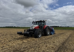 25 juli 2026; groenbemester zaaien