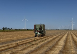 29 juli 2026; vlas ontzaden en keren
