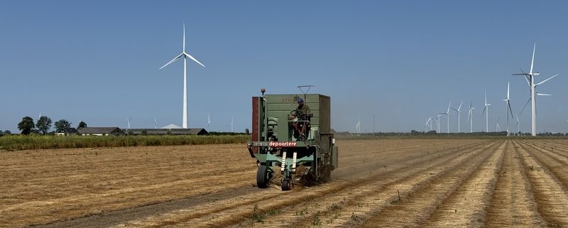 29 juli 2026; vlas ontzaden en keren