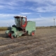25 augustus 2026; vlas persen